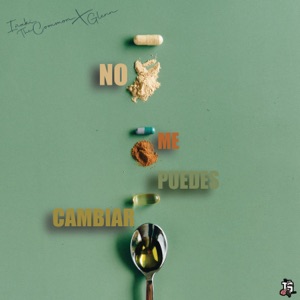 No Me Puedes Cambiar (feat. Jey OTB)