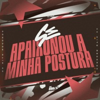 Se Apaixonou a Minha Postura - Single - DJ HELTI