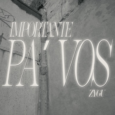 IMPORTANTE PA VOS (feat. Nikill) - Single