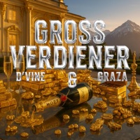 Grossverdiener (feat. D'vine) - Single - GRAZA
