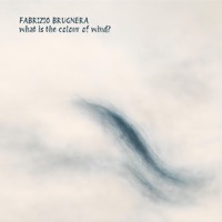 what is the colour of wind? - Single - Fabrizio Brugnera