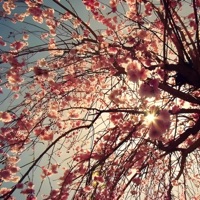 stay the night - Single - rxtrx