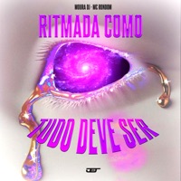 Ritimada Como Tudo Deve Ser - Single - Moura Dj & MC Rondom