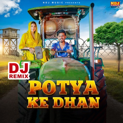 Potya Ke Dhan (DJ Remix) - Single