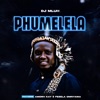 Phumelela (feat. Amorh Kay & Fezela Omnyama) - Single