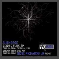 IM095 - Single - Submerge