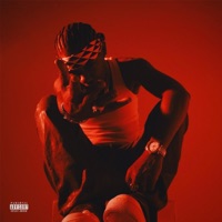 Bleed (Radio Edit) - Single - Bre-Z