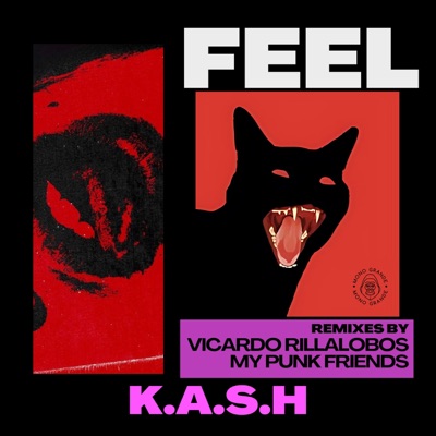 Feel (Remixes) - EP