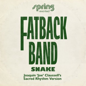 Snake (Joaquin 'Joe' Claussell's Sacred Rhythm Version) - Single