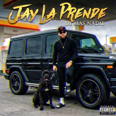 De Mas Nadie - Single