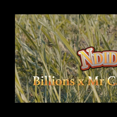Ndidewo (feat. Billionsthebadgee & Mr Candy) - Single