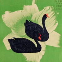 swan dive - Andrew & Jesse the Tree