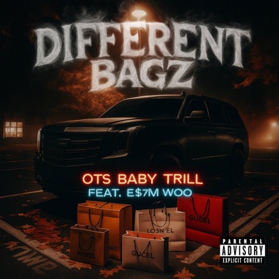 Different Bagz (feat. Es7m Woo) - Single