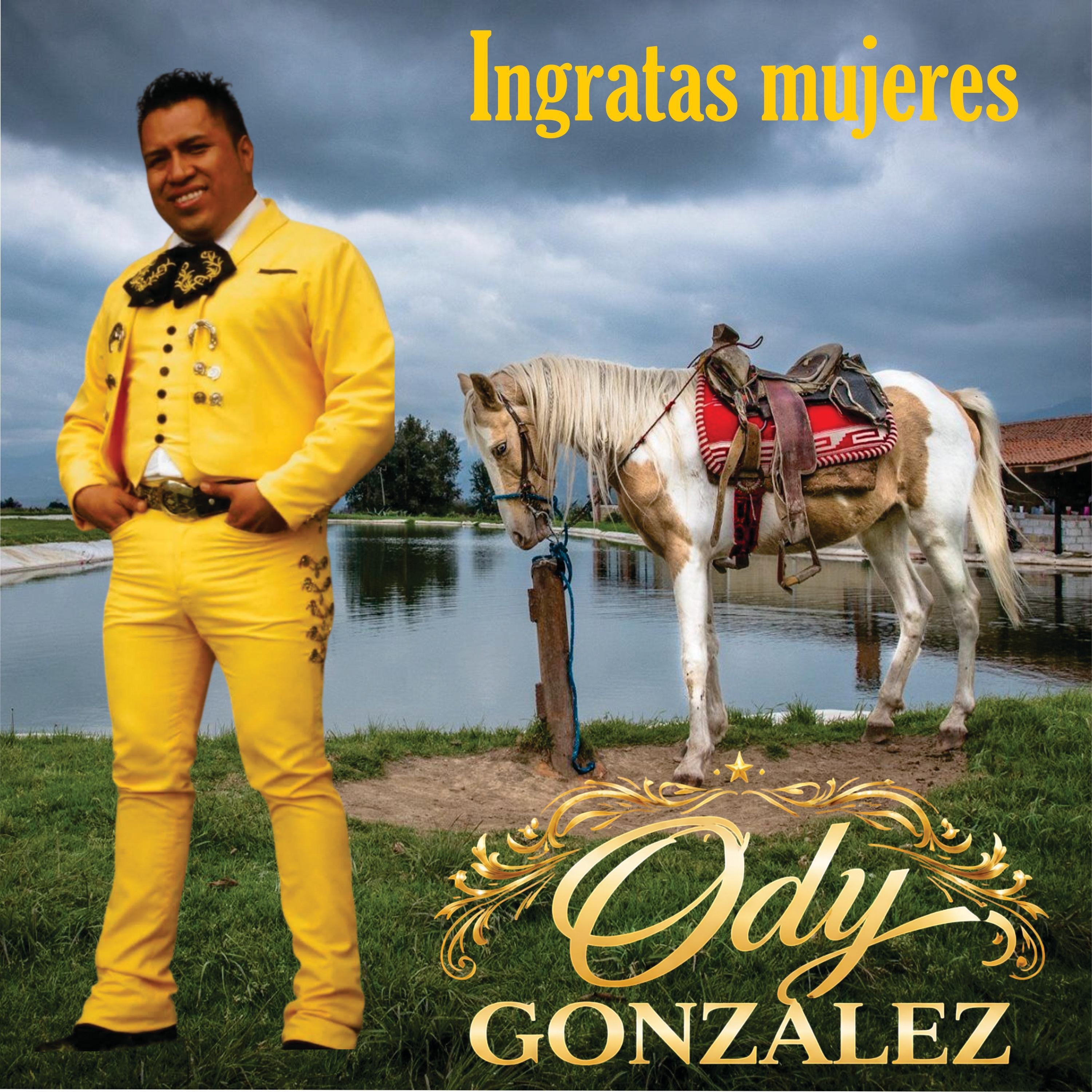 Ingratas mujeres - Single