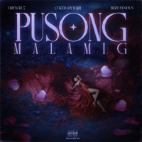 Pusong Malamig (feat. c0kebaby torii) - Single - Dreycruz & Bert Symoun
