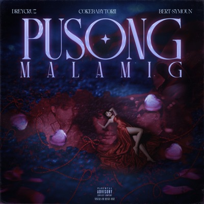Pusong Malamig (feat. c0kebaby torii) - Single