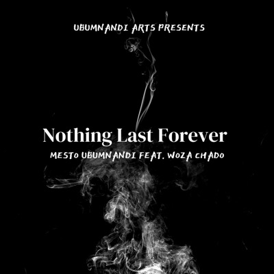 Nothing Last Forever (feat. Woza Chado) - Single