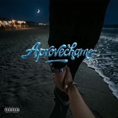 Aprovechame - Single