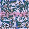 Spine (feat. Carla Fucci) - Too Much Information lyrics