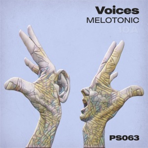 Voices - Single