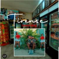 TIRENSE - Single - Dowel King