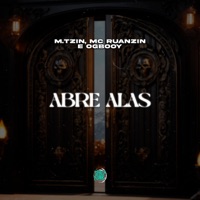 Abre Alas (feat. U Henrique) - Single - MC Ruanzin, M.tzin & OGBOOY