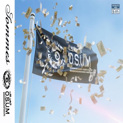 SOMMES (feat. Jey Chris) - Single