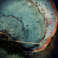 Atomic Variations - EP - Linear Phase
