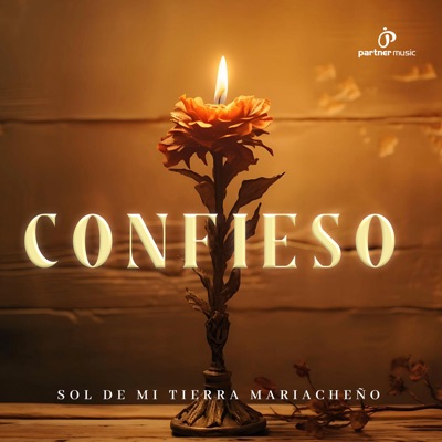 Confieso - Single