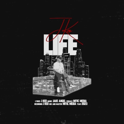 Life Remix (feat. Tiffany Chantelle & Omar Velour) [Radio Edit] - Single