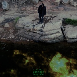 Ms Lonely (feat. Polo, Nook & Emmitt Dupree) NovTheZoner