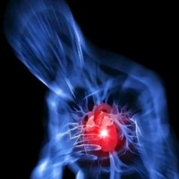 My Heart Gone - Single - Slxve2Drxgz