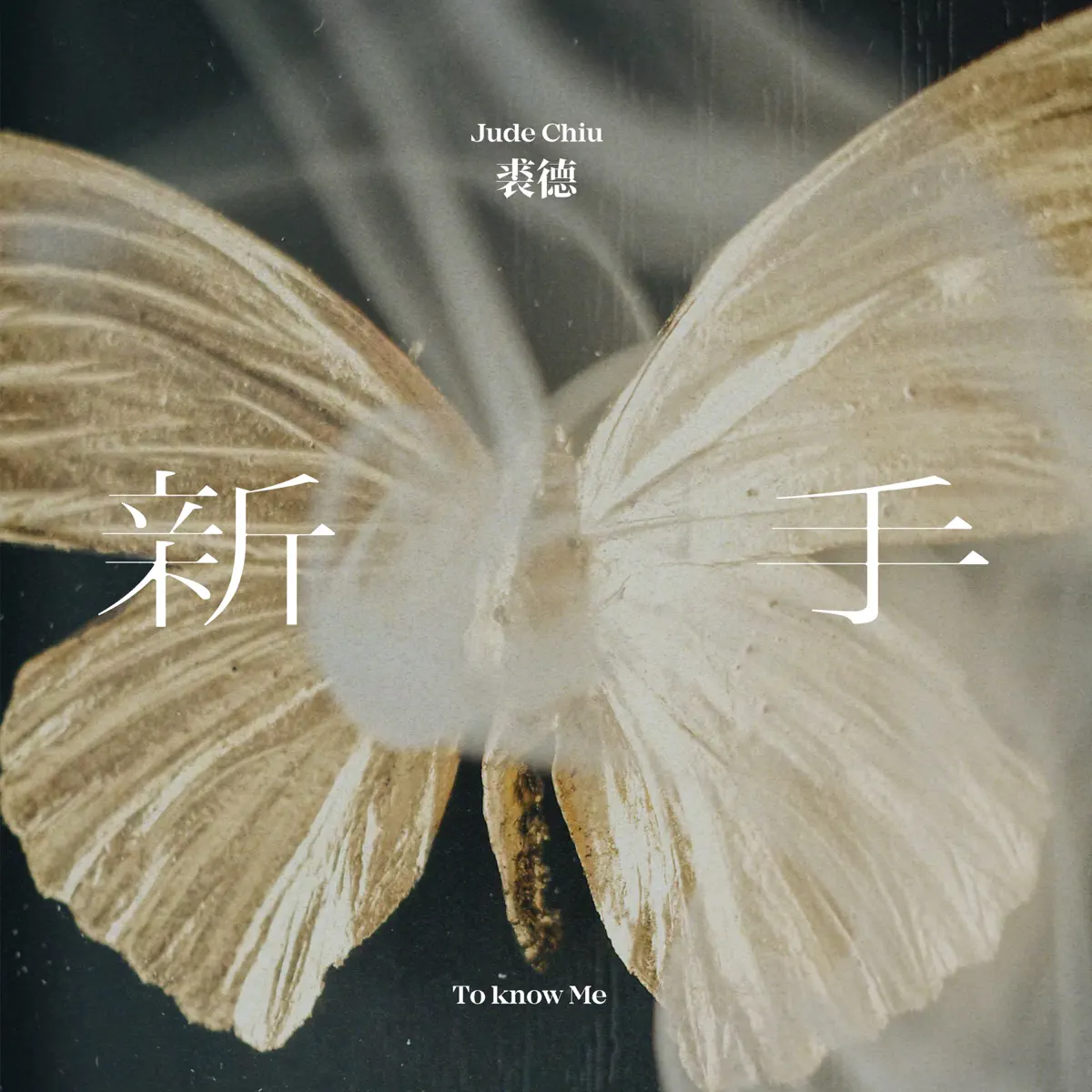 裘德 - 新手 - Single (2024) [iTunes Plus AAC M4A]-新房子