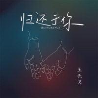 归还于你 - Single - 王天戈