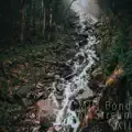 Sleepy Stream XII