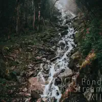 Sleepy Stream XII — Mill Pond