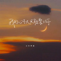 我的心不大只能装下你 - Single - 小只芋泥
