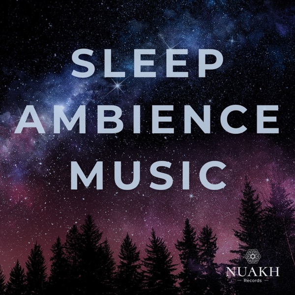 Deep Sleep Music - Continuous - Call for All Night Rest