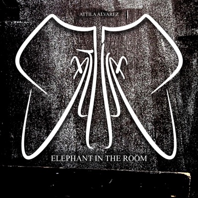 Elephant In The Room