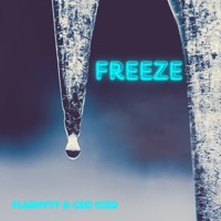 Freeze (feat. CEO ICEO) - Single - Flashyyy