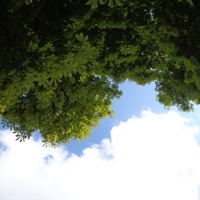 Rebuild - Single - Omaure