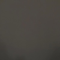 Skinny Girls (feat. KG Bee) - Single - Bojack Horseman