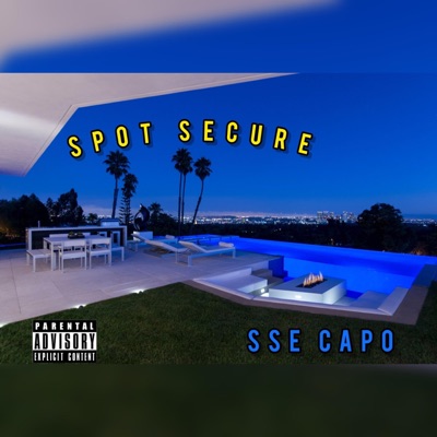Spot Secure - Single