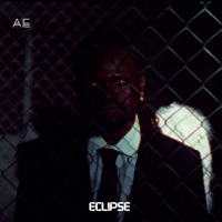 Eclipse - Blvxk Bird