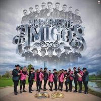 Simplemente amigos (feat. Grupo Disparo) - Single - Caravana Tropical Oficial