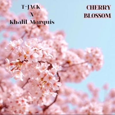 Cherry Blossom - Single