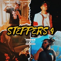Steppers 4 (feat. Youngscarz, Kyng Karnage & YDFilmz) - Single - ExoticKingJay