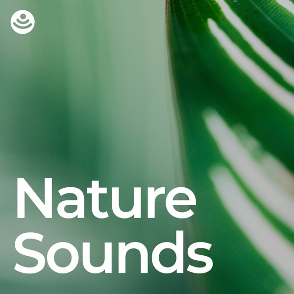 Best of Nature Sounds