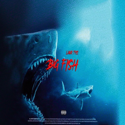 BIG FISH - Single