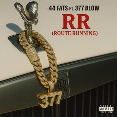 RR (feat. 377blow) - Single